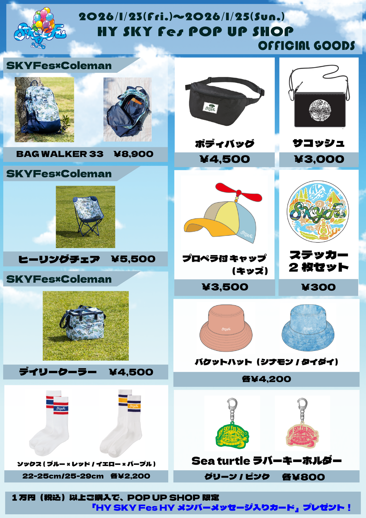 最安値 HYスカイフェス 3月23日24日 通し券2枚セット